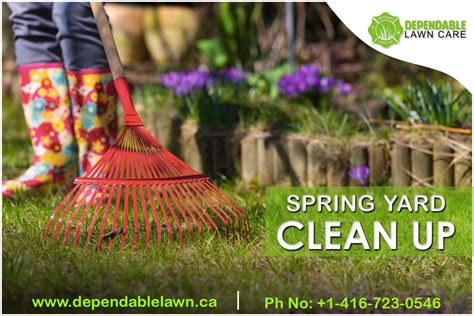 Get The Best Spring Yard Clean Up Oakville Spring Cleaning Yard