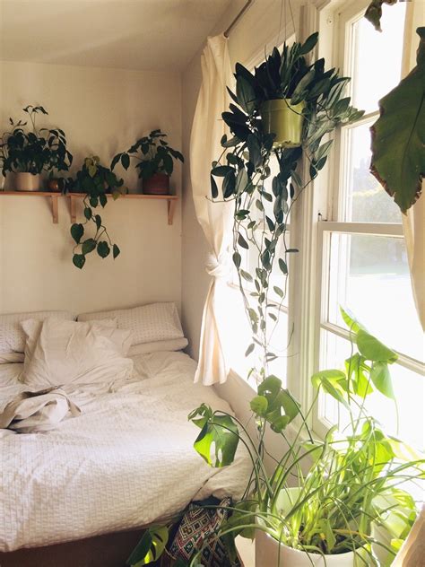 What so ever the decoration or style is, your bedroom should calm and restful to enhance your mood and makes your reborn from the fatigue condition. Pin by Summer Holland on Dreamy in 2020 | Bedroom plants ...