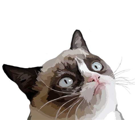 Grumpy Cat Vector Illustration Transparent Png Stickpng
