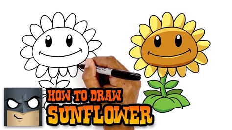 How To Draw Plants Vs Zombies Sunflower