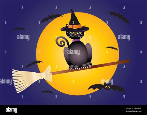 Halloween Black Cat Wearing Witches Hat Flying On Broomstick