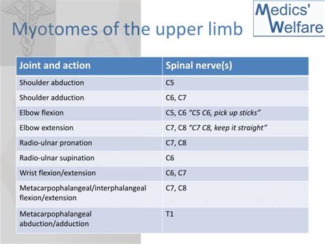 Image Result For Dermatomes And Myotomes Of Upper Limb
