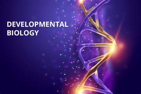 Developmental Biology Researchworld
