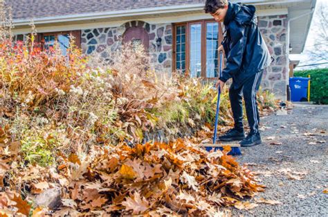 40 Working With Broom Sweeps Lawn From Fallen Leaves Stock Photos