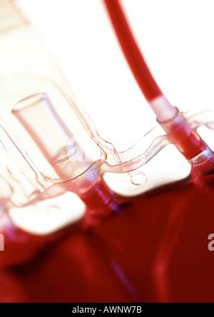 Close Up Of Blood Bags Containing Type A Stock Photo Alamy