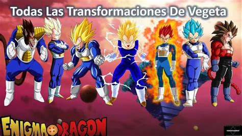 Todas Las Transformaciones De Vegeta Dragon Ball Youtube