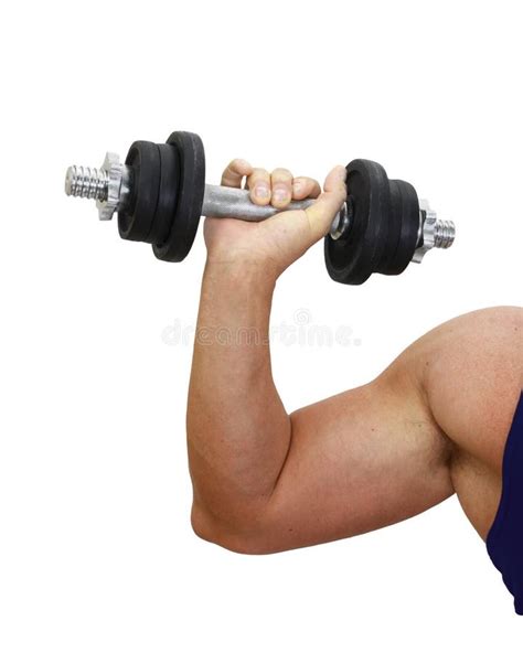 Strong Arm Stock Image Image Of Isolated Caucasian 43933557