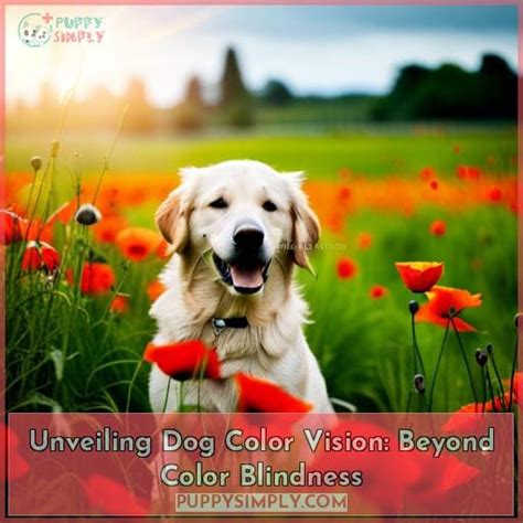 Unveiling Dog Color Vision Beyond Color Blindness