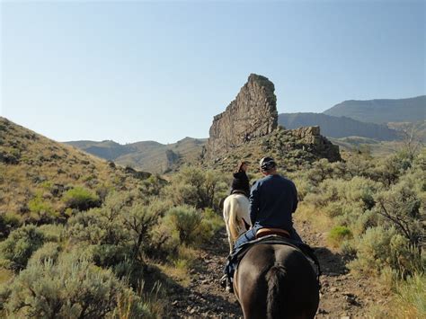 The 10 Best Wyoming Horseback Riding Tours With Photos