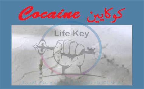 ما هو الكوكايين و ما هي اضرار إدمانه Lifekey Rehab
