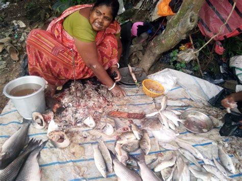 Local Fish Selling Market With Various Fish Display At Barasat Kolkata