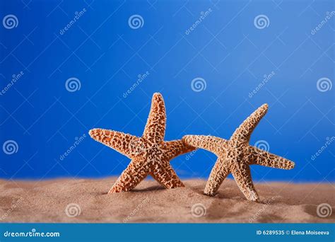 Two Starfish On A Beach Sand Stock Image Image Of Star Sunlight 6289535