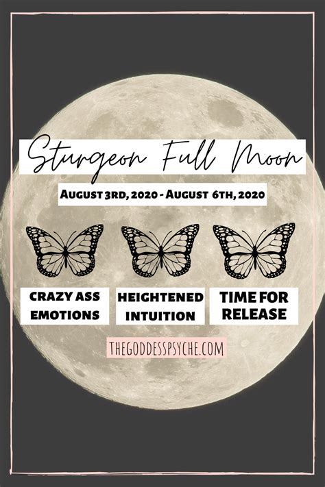 The cancer full moon, also called the cold moon, is the last full moon of the year, and the nurturing energy it packs is exactly what we need after a year marked by tumult and uncertainty. What to do during a Full Moon | August 2020 Full Moon ...