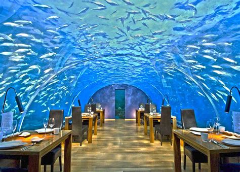 6 Incríveis Restaurantes Submarinos Nas Ilhas Maldivas