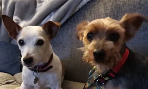 Please note these are not baby names — the most popular and most unusual names for baby boys can be found here. Star (Twinklestar) and DJ - 14 year old female Jack ...