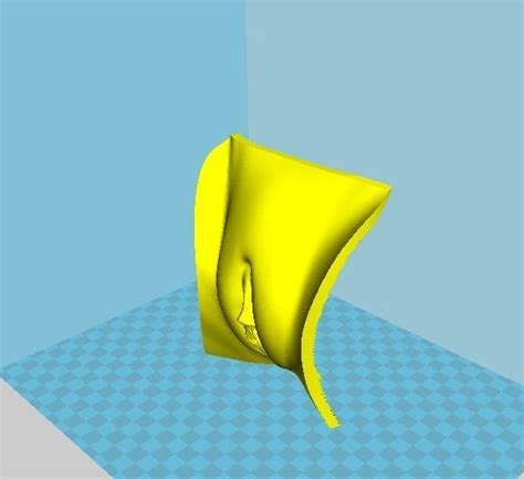 Female Real Vagina 3D Model 3D Printable CGTrader