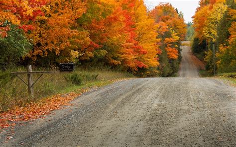 Path through autumn forest wallpaper - Nature wallpapers - #37891