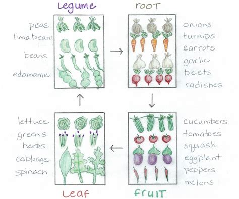 The Basics of Crop Rotation - Hook's Greenhouse