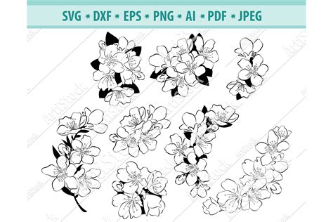 Cherry blossom SVG, Sakura flowers Svg, Spring Dxf, Png, Eps