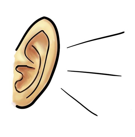 Ear Listening Clipart 20 Free Cliparts Download Images On Clipground 2023