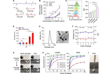 Single Dose Injectable Nanovaccine In Hydrogel For Robust Cancer