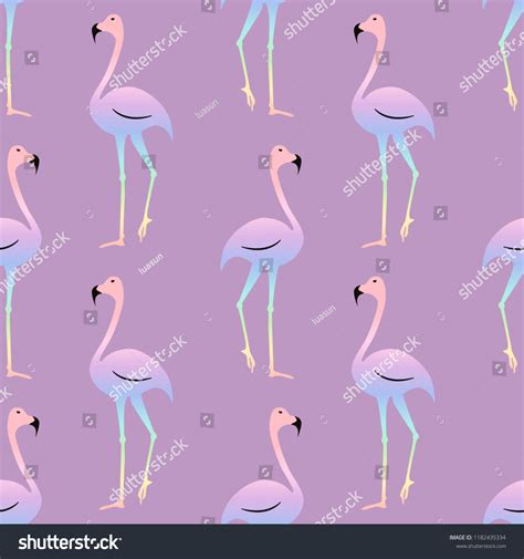 Flamingo Colorful Rainbow Bird Beautiful Seamless Stock Vector Royalty