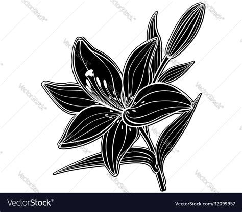 Black Silhouette A Large Lily Flower Royalty Free Vector