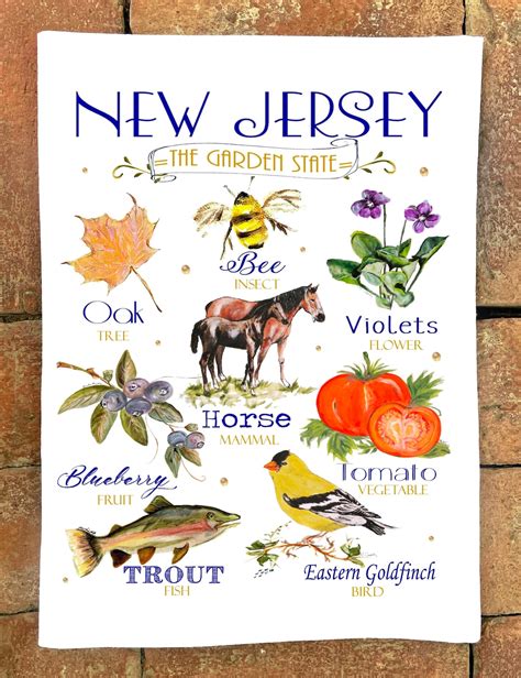 New Jersey State Symbols Design 0144 Flour Sack Kitchen Towel Etsy
