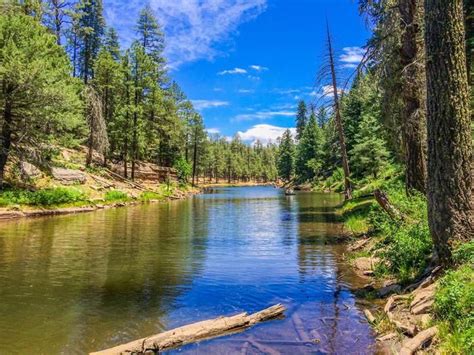 Apache Sitgreaves National Forest Explore The Beauty