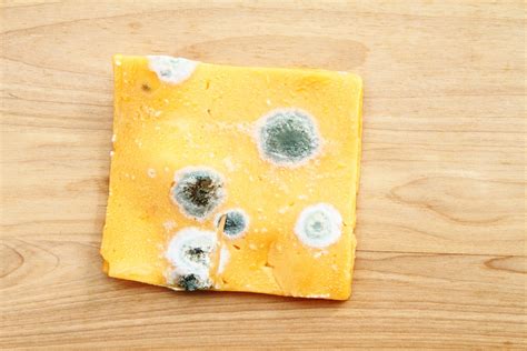 Some Foods That Can And Cannot Be Eaten When They Are Moldy