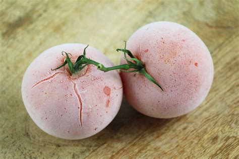 Rau Praktisch Farbstoff tomaten kochen und einfrieren Leben Gläubige Cliff
