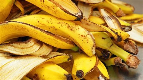 5 Usos Para La Cáscara Del Plátano ¡no Volverás A Tirarla Imperio
