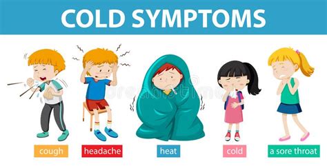 Medical Infographic Of Cold Symptoms Stock Vector Illustration Of