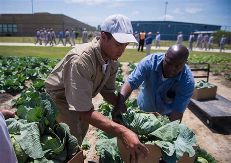 A Growing Experience Prison Gardens Transform Inmates Who Tend To Them