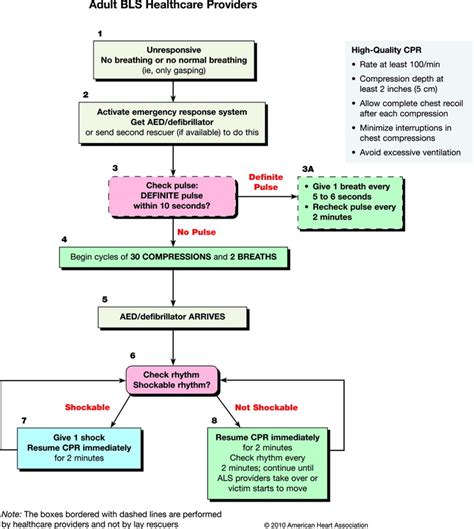 2010 Aha Guidelines For Cpr And Ecc 네이버 블로그