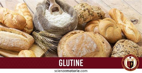 I cereali contenenti glutine sono: Glutine: cos'è,come agisce e come incide sulla celiachia ...