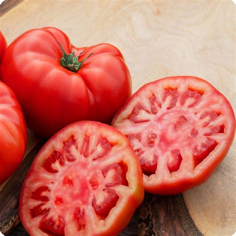Beefsteak Slicer Tomato Seeds Heirloom Untreated Non Gmo From Canada