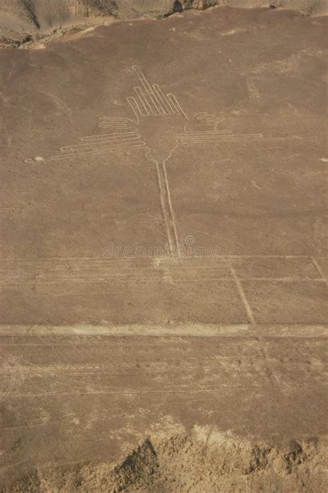 Drawings Nazca Lines Lineas De Nazca In The Desert Of Nazca Peru