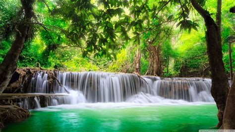 Green Tropical Waterfall 4k Hd Desktop Wallpaper High