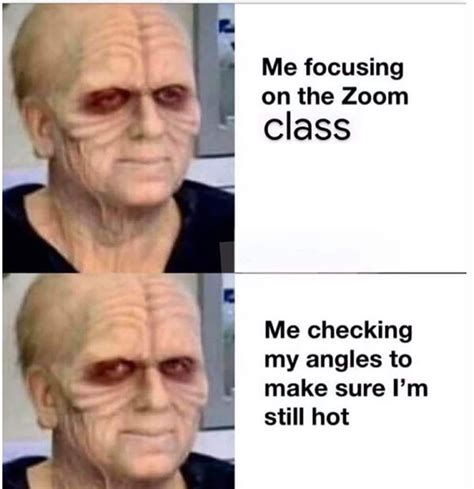 1st zoom meeting vs 10th zoom meeting. 20 Relatable Zoom Meetings Memes | SayingImages.com