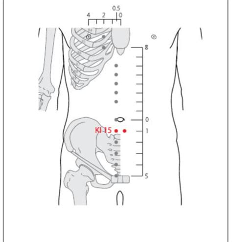 Ki 15 Acupuncture Point Acupuncture Point Locations Review