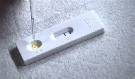 Rapid paternity test kit lab fees included dna results in 2 business days. Taiwan develops rapid 10-min Ab test kit for COVID-19