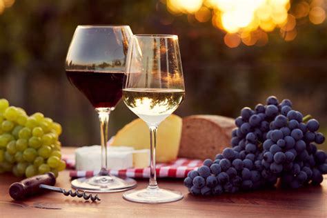 Best Food And Wine Pairings Berry Chatty