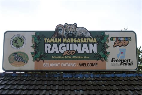 Berdasarkan jenisnya, hewan terbagi menjadi 2 kelompok, yaitu vertebrata (hewan bertulang belakang) dan avertebrata (hewan yang tidak mempunyai tulang belakang). Ragunan Zoo, Jakarta, Indonesia