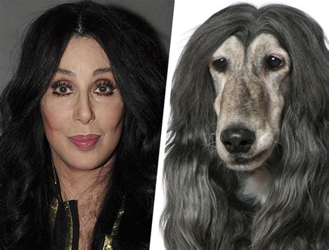 12 Celebrity Snapshots And Their Amazing Canine Look Alikes Page 2