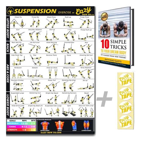 Eazy How To Suspension Cables Exercise Workout Poster Big X Cm