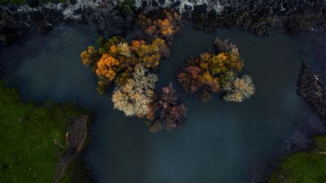 Top View Of Trees At Winter Morning Hd Nature 4k