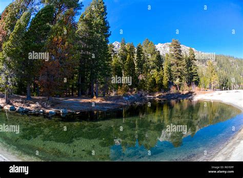 Pine Trees And Lake In Emerald Bay Lake Tahoe Stock Photo Alamy