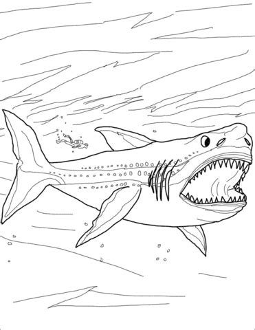 Try putting the finished pictures up on display, or send them home for the. Megalodon Shark Coloring page | Shark coloring pages ...