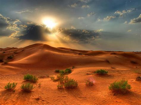 Desert Landscape Summer Sunset In The Desert Red Sand Beautiful